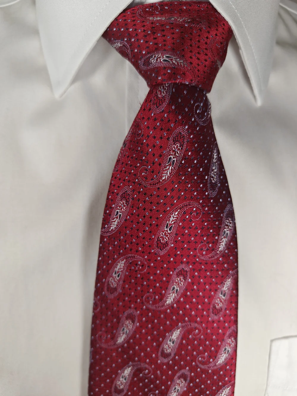 Ermenegildo Zegna Burgundy Red Paisley 100% Silk Jacquard Necktie Made in Italy